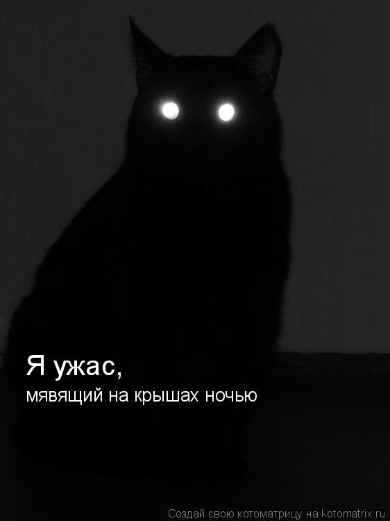 Котоматрица: Я ужас,  мявящий на крышах ночью