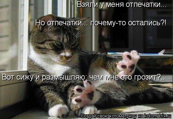 Котоматрица: Взяли у меня отпечатки... Но отпечатки... почему-то остались?! Вот сижу и размышляю: чем мне это грозит?..