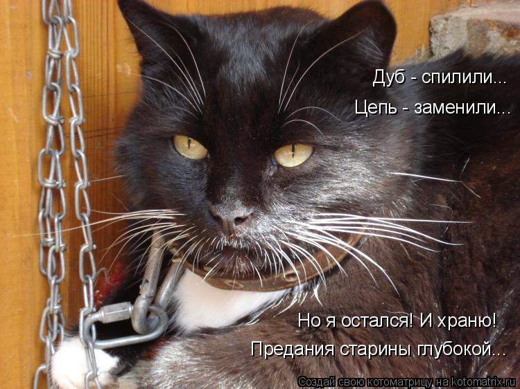 Котоматрица: Цепь - заменили... Дуб - спилили... Но я остался! И храню! Предания старины глубокой...