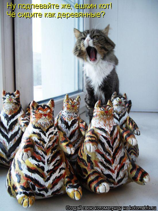 Котоматрица: Ну подпевайте же, ёшкин кот! Чё сидите как деревянные?