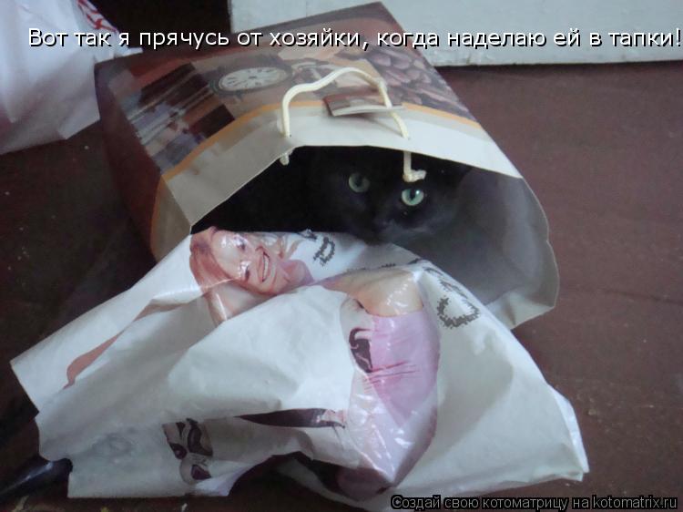 Котоматрица: Вот так я прячусь от хозяйки, когда наделаю ей в тапки!