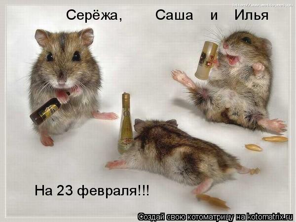 Серёжа, Саша и Илья На 23 февраля!!!... Котоматрица: Серёжа, Саша и Илья На 23 февраля!!!