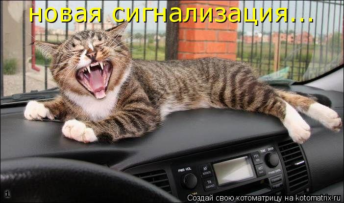 Котоматрица: новая сигнализация...