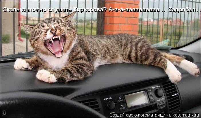 Котоматрица: Сколько можно слушать Киркорова? А-а-а-аааааааааа ... Задолбал...