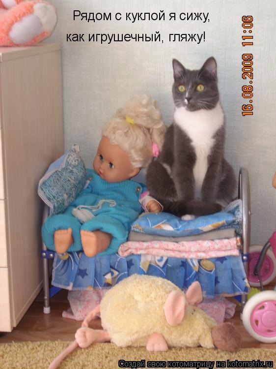 Котоматрица: Рядом с куклой я сижу,  как игрушечный, гляжу!