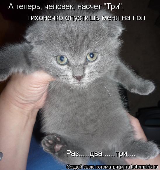 Котоматрица: А теперь, человек, насчет "Три", тихонечко опустишь меня на пол Раз.....два......три....