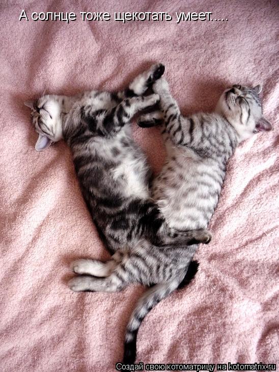 Котоматрица: А солнце тоже щекотать умеет.....