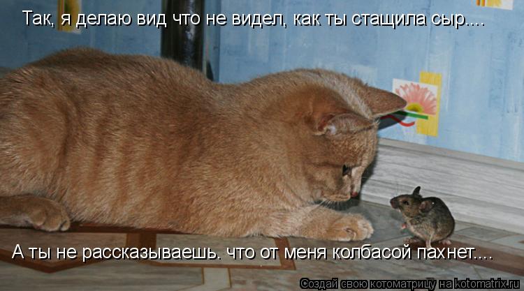 Котоматрица: Так, я делаю вид что не видел, как ты стащила сыр.... А ты не рассказываешь. что от меня колбасой пахнет....