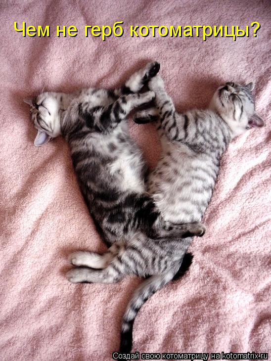 Котоматрица: Чем не герб котоматрицы?