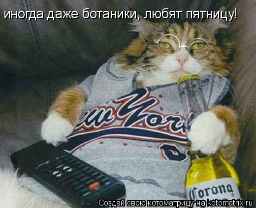 Котоматрица: иногда даже ботаники, любят пятницу!