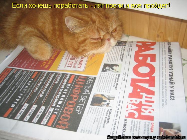 Если хочешь поработать - ляг поспи и все пройдет!... Котоматрица: Если хочешь поработать - ляг поспи и все пройдет!