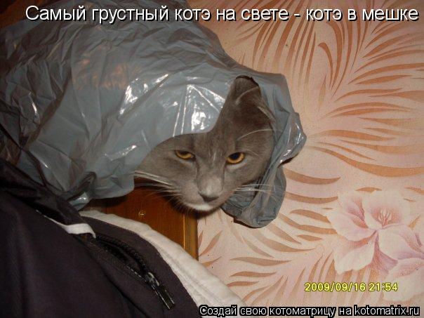 Котоматрица: Самый грустный котэ на свете - котэ в мешке