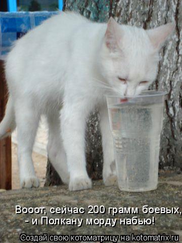 Котоматрица: - и Полкану морду набью! Вооот, сейчас 200 грамм боевых,