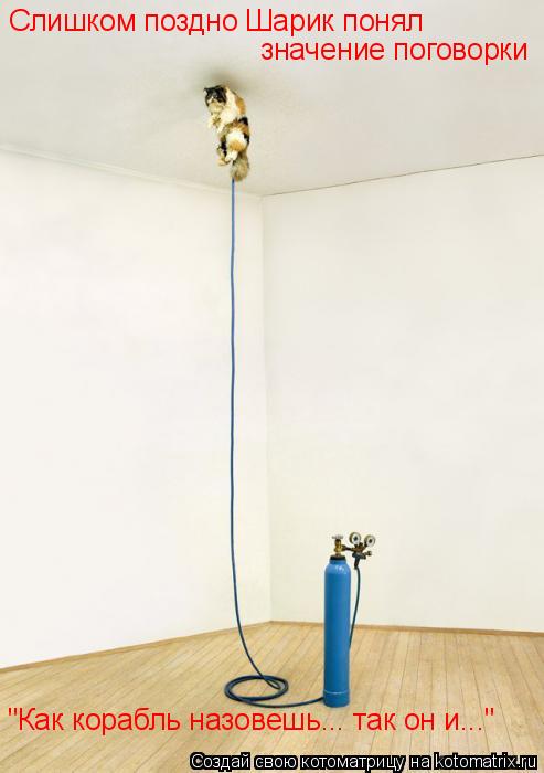 Котоматрица: Слишком поздно Шарик понял значение поговорки "Как корабль назовешь... так он и..."