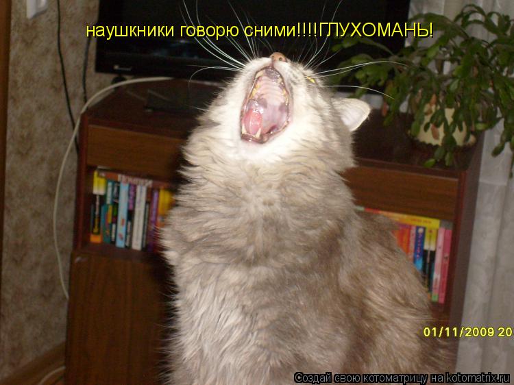 Котоматрица: наушкники говорю сними!!!!ГЛУХОМАНЬ!
