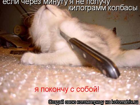 Котоматрица: если через минуту я не получу килограмм колбасы если через минуту я не получу  килограмм колбасы я покончу с собой!