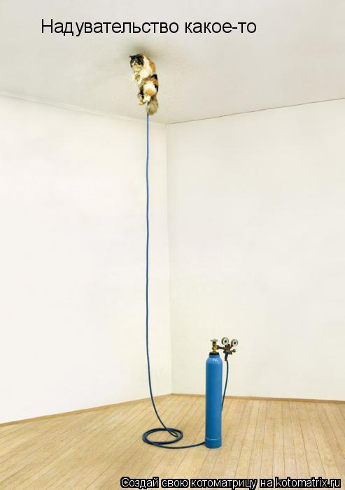 Котоматрица: Надувательство какое-то