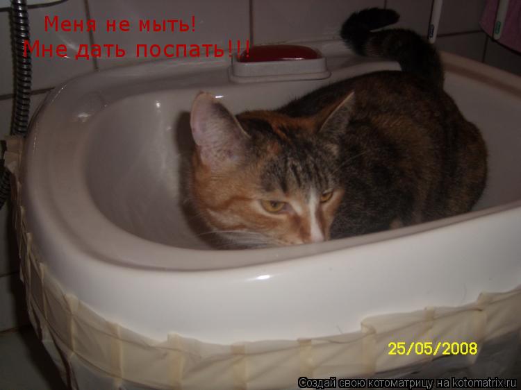 Котоматрица: Меня не мыть! Меня не мыть! Мне дать поспать!!!
