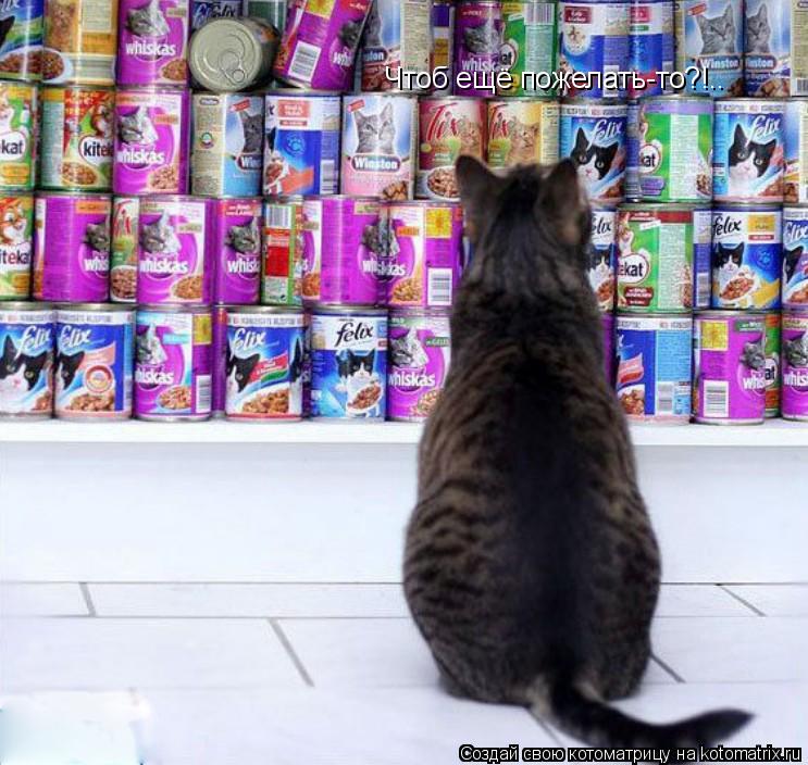 Котоматрица: Чтоб ещё пожелать-то?!..