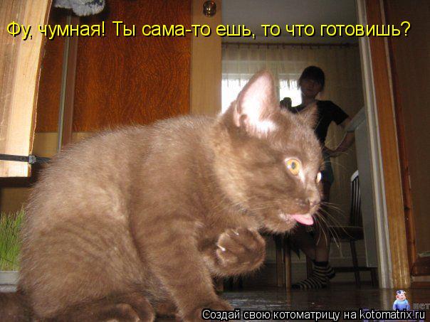 Котоматрица: Фу, чумная! Ты сама-то ешь, то что готовишь?