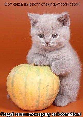 Котоматрица: Вот когда вырасту стану футболистом!