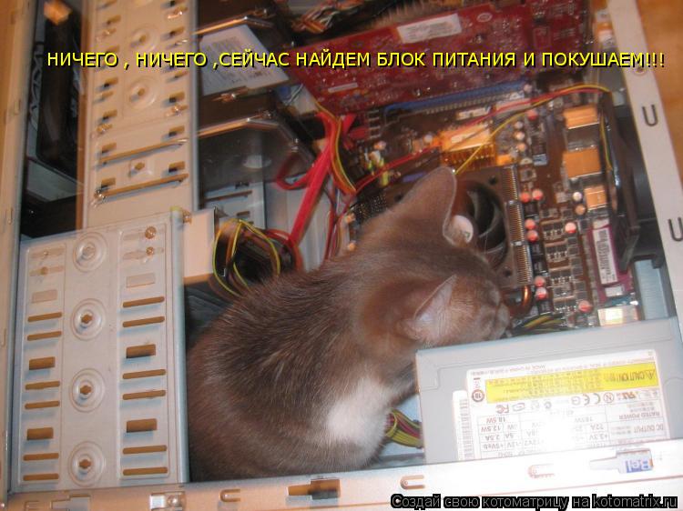 Котоматрица: НИЧЕГО , НИЧЕГО ,СЕЙЧАС НАЙДЕМ БЛОК ПИТАНИЯ И ПОКУШАЕМ!!!