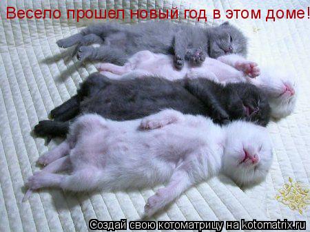 Котоматрица: Весело прошел новый год в этом доме!