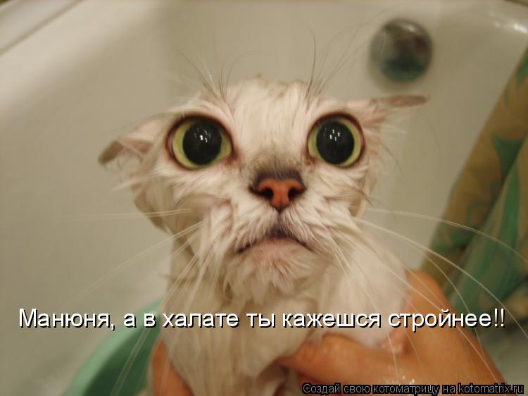 Котоматрица: Манюня, а в халате ты кажешся стройнее!!
