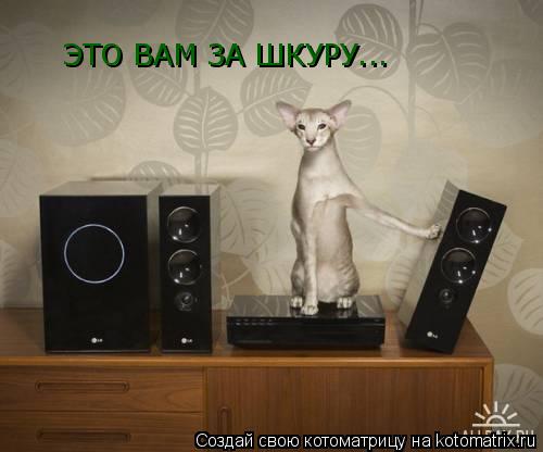 Котоматрица: ЭТО ВАМ ЗА ШКУРУ...