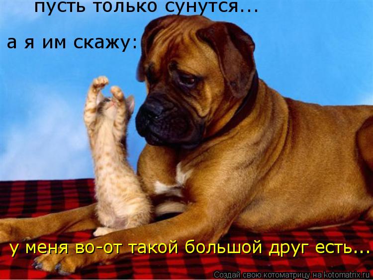 пусть только сунутся... а я им скажу: у меня во-от такой большой друг есть...... Котоматрица: пусть только сунутся... а я им скажу: у меня во-от такой большой друг есть...