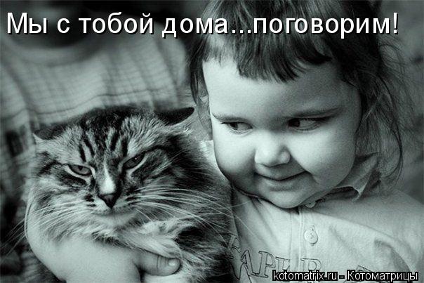 Мы с тобой дома...поговорим!... Котоматрица: Мы с тобой дома...поговорим!