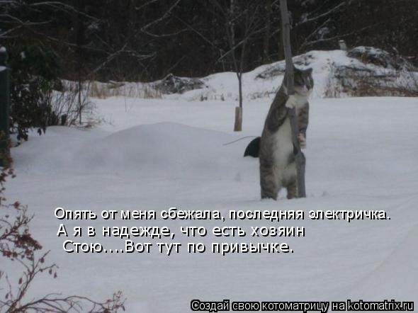 Котоматрица: Опять от меня сбежала, последняя электричка. А я в надежде, что есть хозяин Стою....Вот тут по привычке.