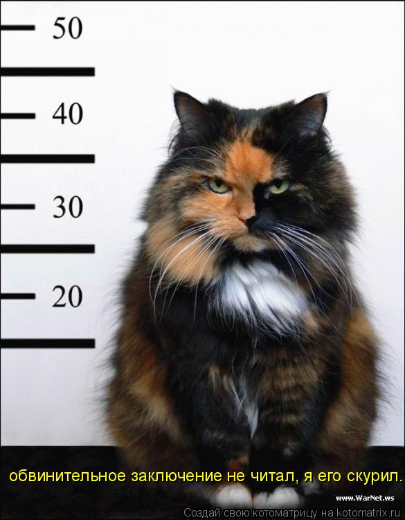 Котоматрица: обвинительное заключение не читал, я его скурил.