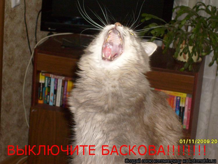 Котоматрица: ВЫКЛЮЧИТЕ БАСКОВА!!!!!!!!