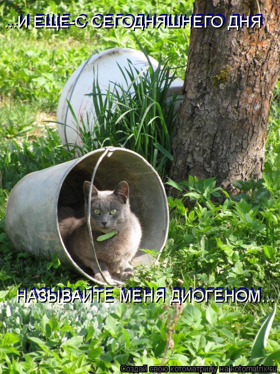 Котоматрица: ...И ЕЩЕ-С СЕГОДНЯШНЕГО ДНЯ ...И ЕЩЕ-С СЕГОДНЯШНЕГО ДНЯ НАЗЫВАЙТЕ МЕНЯ ДИОГЕНОМ... НАЗЫВАЙТЕ МЕНЯ ДИОГЕНОМ...