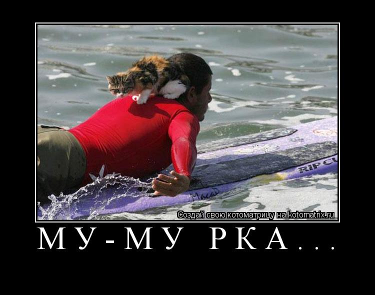 Котоматрица: му-му рка... 