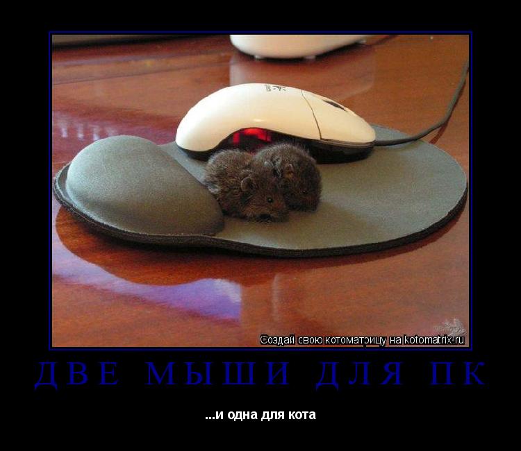 Две мыши для ПК ...и одна для кота... Котоматрица: Две мыши для ПК ...и одна для кота