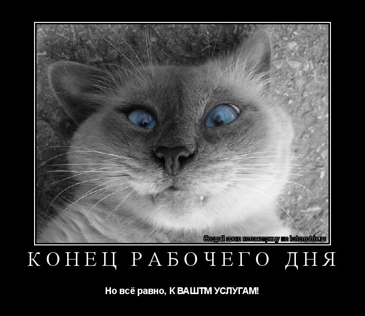 Котоматрица: Конец рабочего дня Но всё равно, К ВАШТМ УСЛУГАМ!