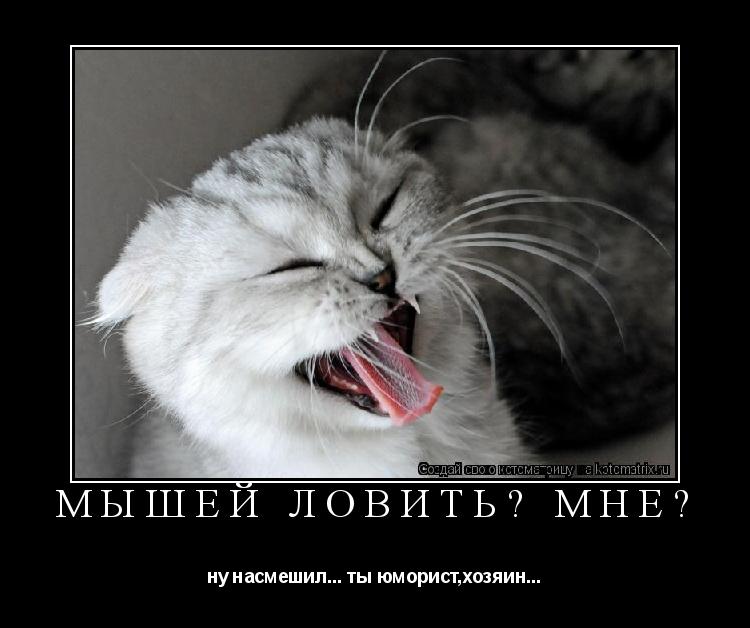 Котоматрица: мышей ловить? мне? ну насмешил... ты юморист,хозяин...