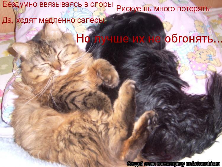 Бездумно ввязываясь в споры, Рискуешь много потерять: Да, ходят медленно саперы, Но лучше их не обгон... Котоматрица: Бездумно ввязываясь в споры, Рискуешь много потерять: Да, ходят медленно саперы, Но лучше их не обгонять...