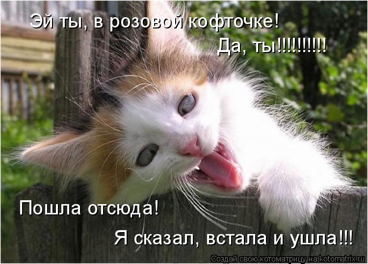 Эй ты, в розовой кофточке! Да, ты!!!!!!!!!! Пошла отсюда! Я сказал, встала и ушла!!!... Котоматрица: Эй ты, в розовой кофточке! Да, ты!!!!!!!!!! Пошла отсюда! Я сказал, встала и ушла!!!