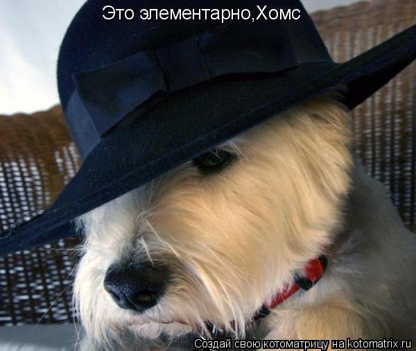Котоматрица: Это элементарно,Хомс