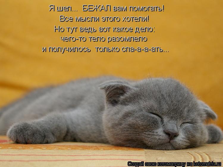 Я шел….. БЕЖАЛ вам помогать! Все мысли этого хотели! Но тут ведь вот какое дело: чего-то тело разом... Котоматрица: Я шел….. БЕЖАЛ вам помогать! Все мысли этого хотели! Но тут ведь вот какое дело: чего-то тело разомлело и получилось только спа-а-а-ать…..