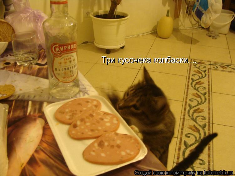 Котоматрица: Три кусочека колбаски....