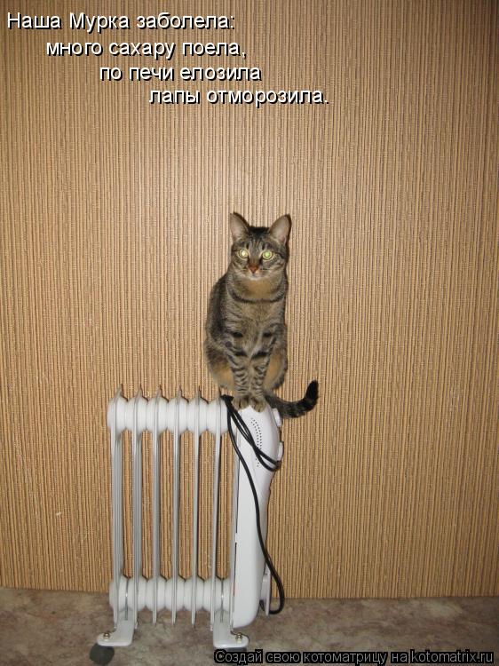 Котоматрица: Наша Мурка заболела: много сахару поела, по печи елозила лапы отморозила.