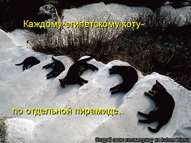 Котоматрица: Каждому египетскому коту- по отдельной пирамиде..