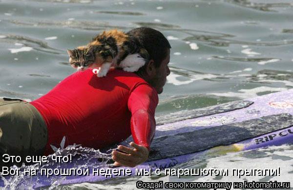 Котоматрица: Это еще что! Вот на прошлой неделе мы с парашютом прыгали!