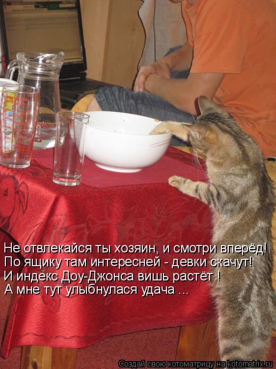 По ящику там интересней - девки скачут! И индекс Доу-Джонса вишь растёт ! Не отвлекайся ты хозяин, и ... Котоматрица: По ящику там интересней - девки скачут! И индекс Доу-Джонса вишь растёт ! Не отвлекайся ты хозяин, и смотри вперёд! А мне тут улыбнулася удача