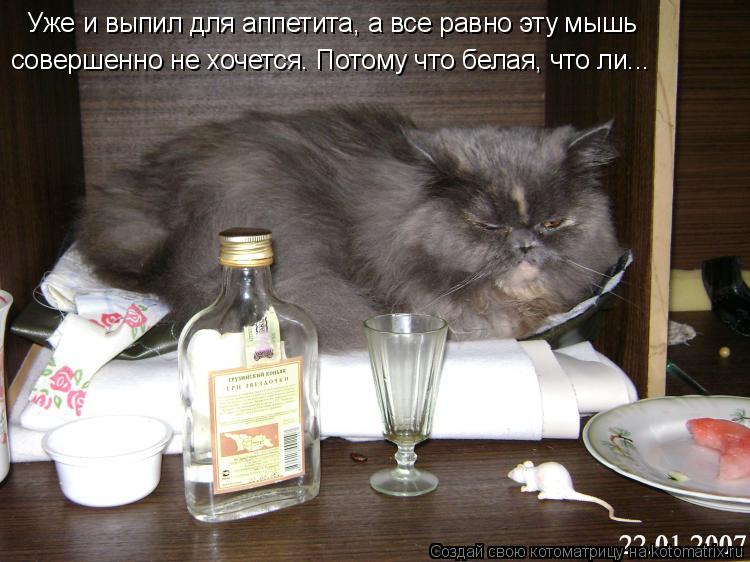 Котоматрица: Уже и выпил для аппетита, а все равно эту мышь  совершенно не хочется. Потому что белая, что ли...