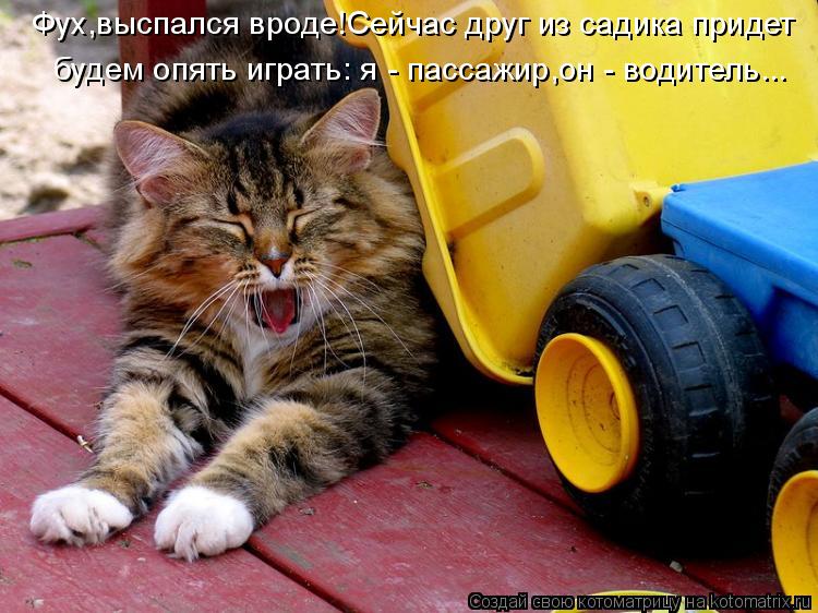 будем опять играть: я - пассажир,он - водитель... Фух,выспался вроде!Сейчас друг из садика придет... Котоматрица: будем опять играть: я - пассажир,он - водитель... Фух,выспался вроде!Сейчас друг из садика придет
